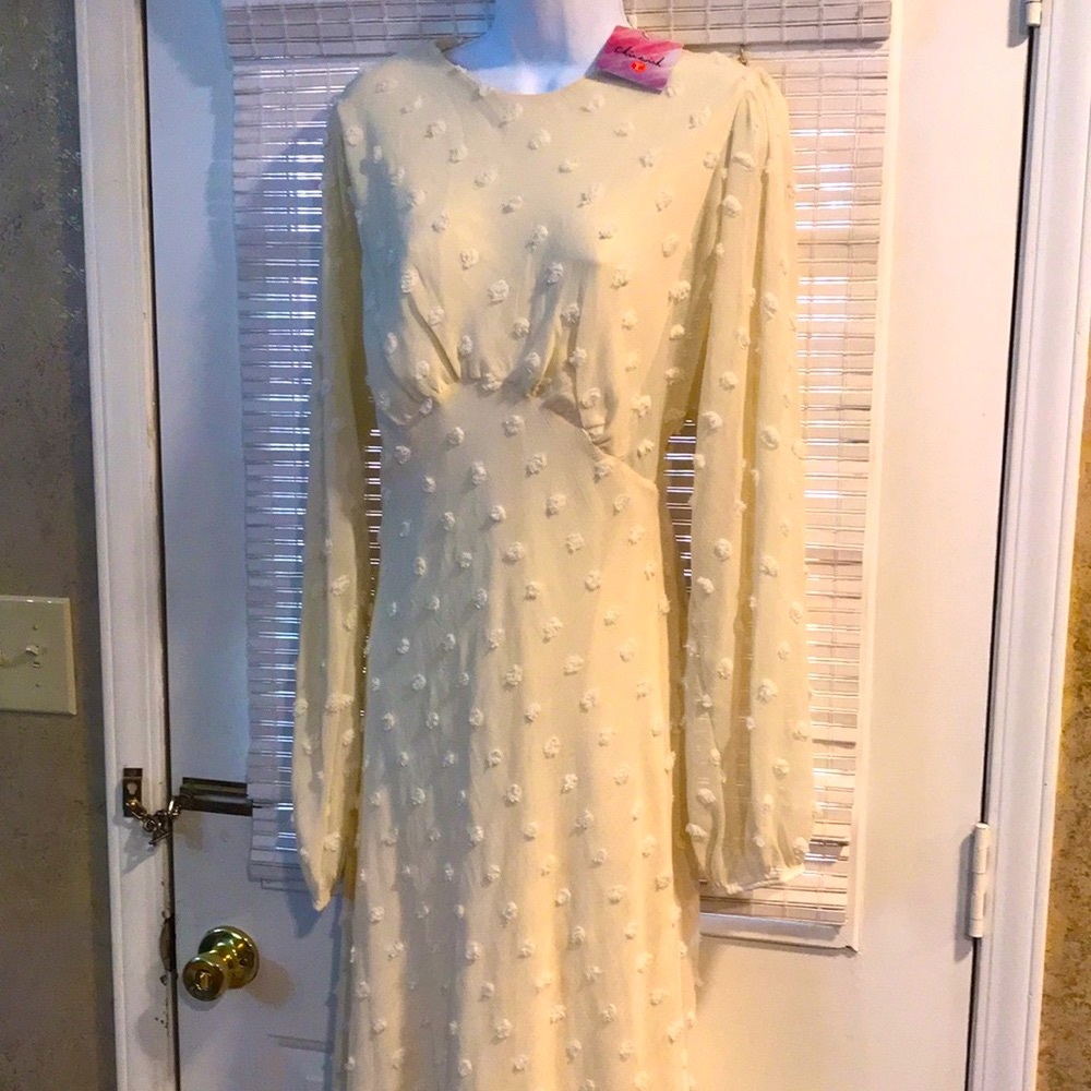 Chic wish~Swiss dot ecru dress L~NWT